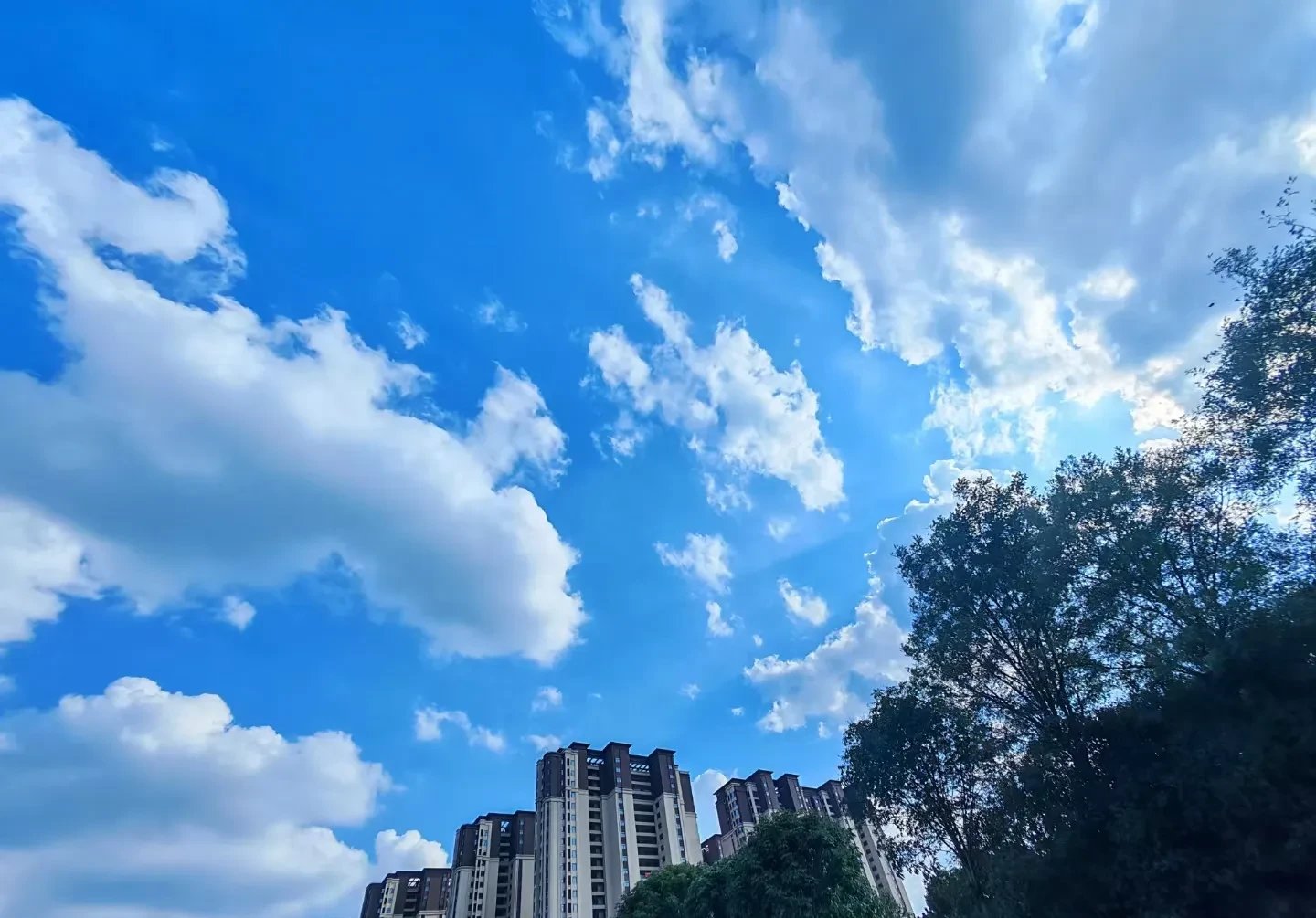 荷甲倒计时,上海海港集结日伤情更新,细节引发关注,更衣室稳定,球探报告显示潜力 -九游官网app